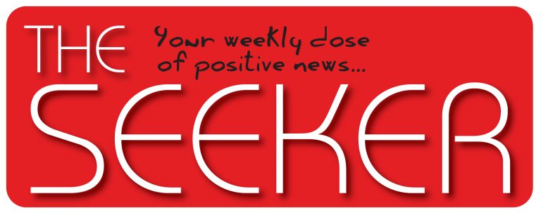 The Seeker’s Year In Review