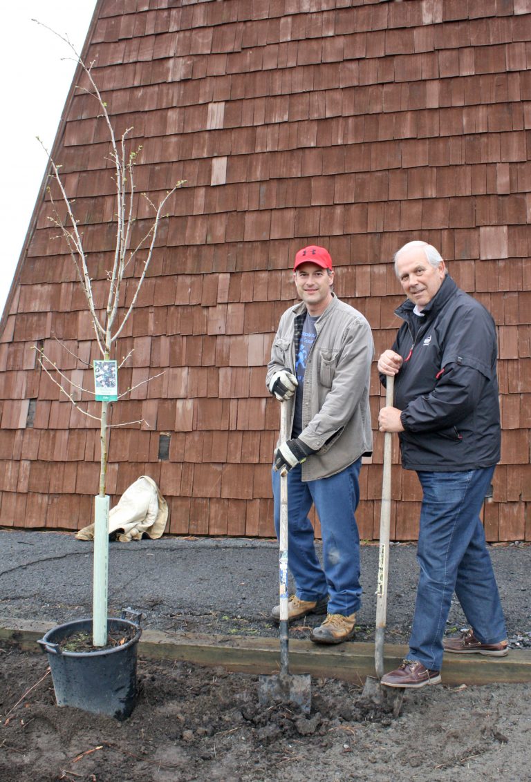 Tree planted in recognition of Earth Day