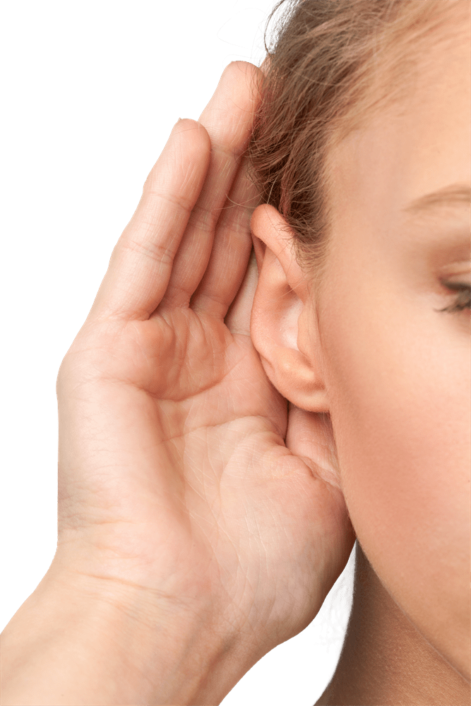 The truth and nothing but the truth – Editorial by Julia Lucio