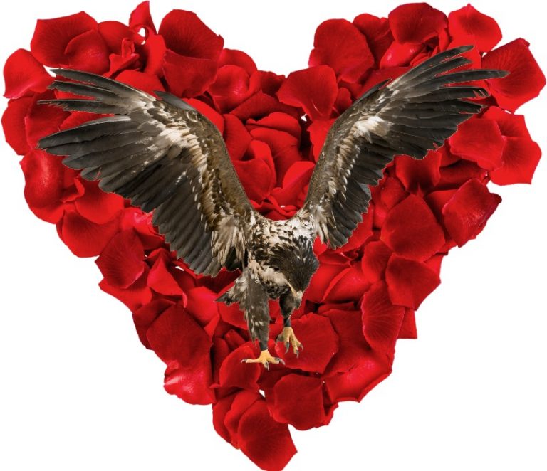 THE LOVE HAWK: 5 Pointers for Dating a Single Father