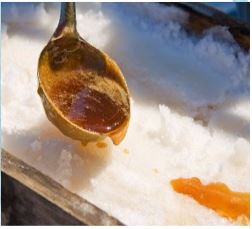 CABANE À SUCRE IS COMING