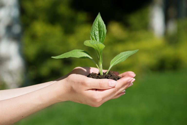 Soggy Grazing Land Put Back to Use