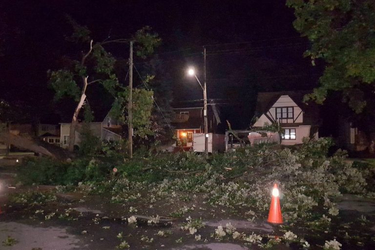 City of Cornwall Temporarily Suspends Tipping Fees For Tree Debris