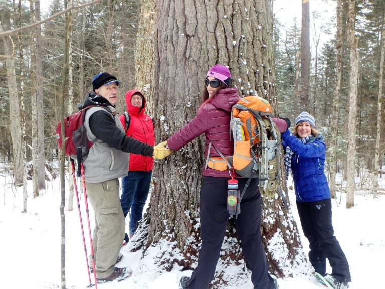 Cornwall Outdoor Club – The Enchanted Forest