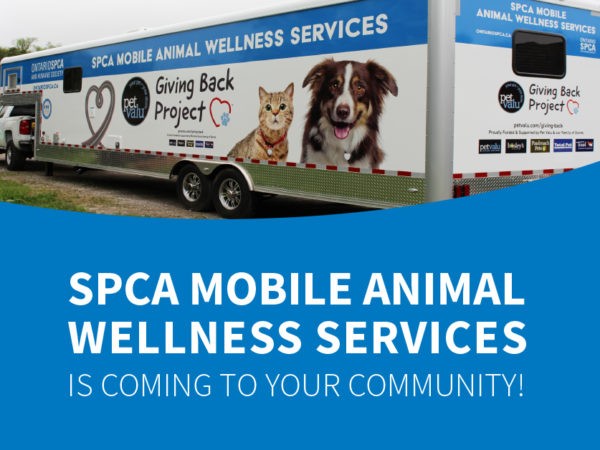 Ontario SPCA and Humane Society mobile spay/neuter unit rolls into Cornwall