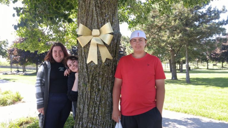 Cornwall Junior Optimists helping to paint Cornwall gold