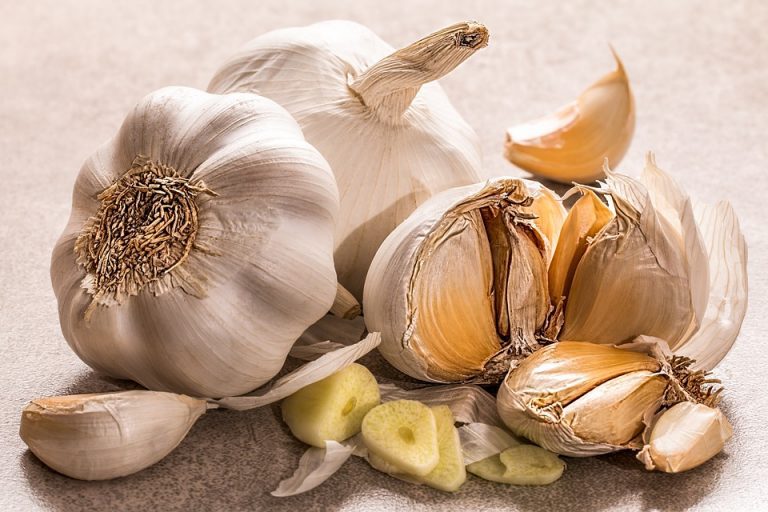 Don’t Miss the Garlic Festival, Sunday September 28