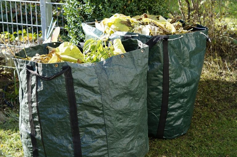 The city wants to talk about organic waste collection