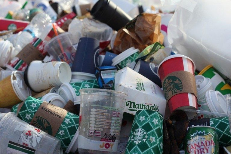 How Disposable Cups Affect The Environment