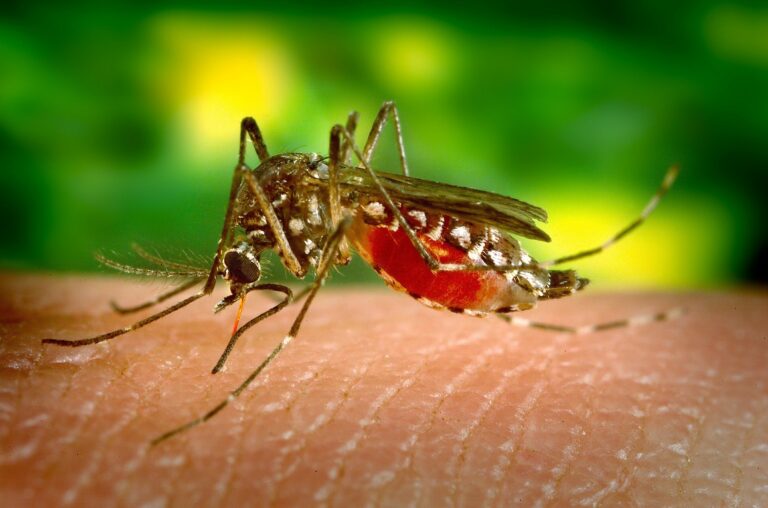 Confirmed Human Case of West Nile Virus in EOHU Region
