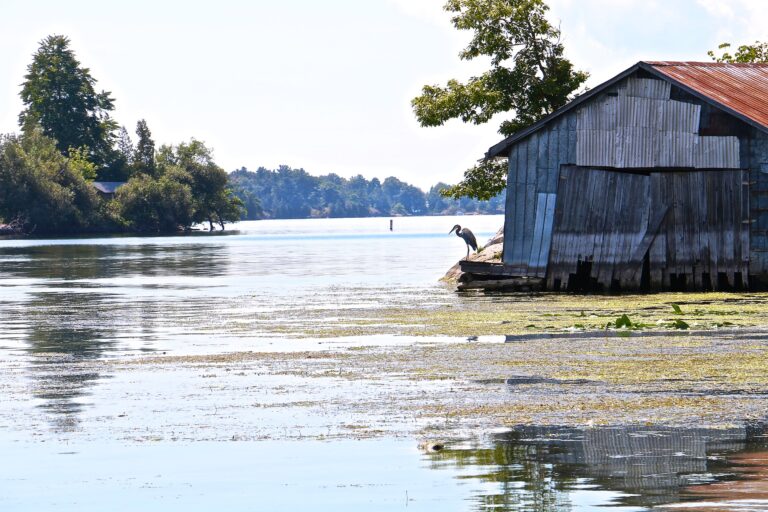 RIVER INSTITUTE RECEIVES $100,000 GRANT FROM RBC FOUNDATION