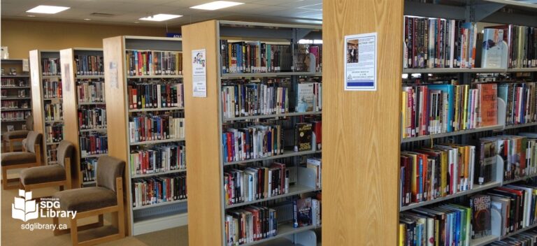 Browsing Resumes at SDG Library