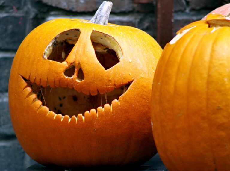 EOHU Recommends Safer Alternatives to Celebrate Halloween This Year