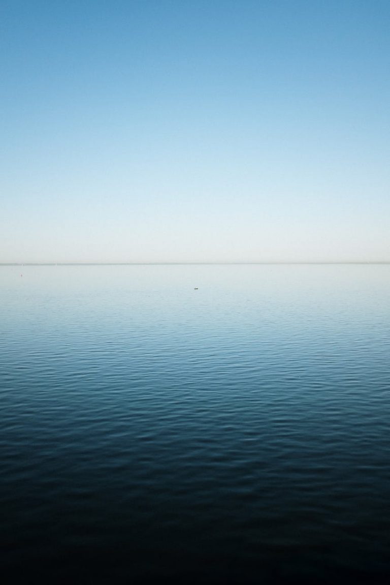 Coming Soon: Your Port Lands Art?