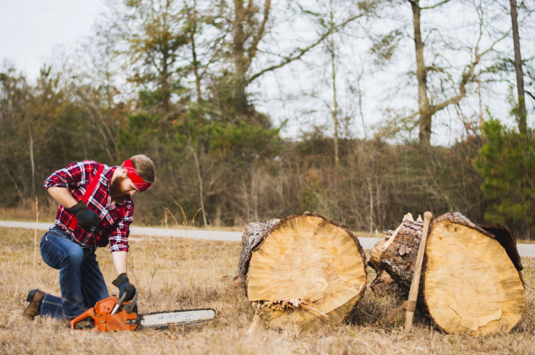 How to Easily Choose a Great Chainsaw for Yourself