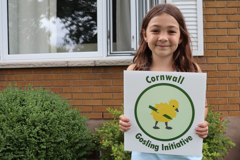Cornwall Gosling Initiative: Summer Reading Challenge wrap up