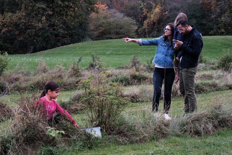 Explore Cornwall and Surrounding Area of SDG with the Raisin Region GeoAdventure