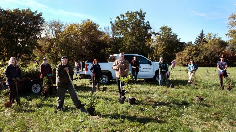 RRCA Partners with SLC and City of Cornwall to Plant 300 Trees in Local Park