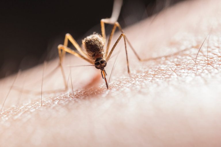 Confirmed Human Case of West Nile Virus in EOHU Region