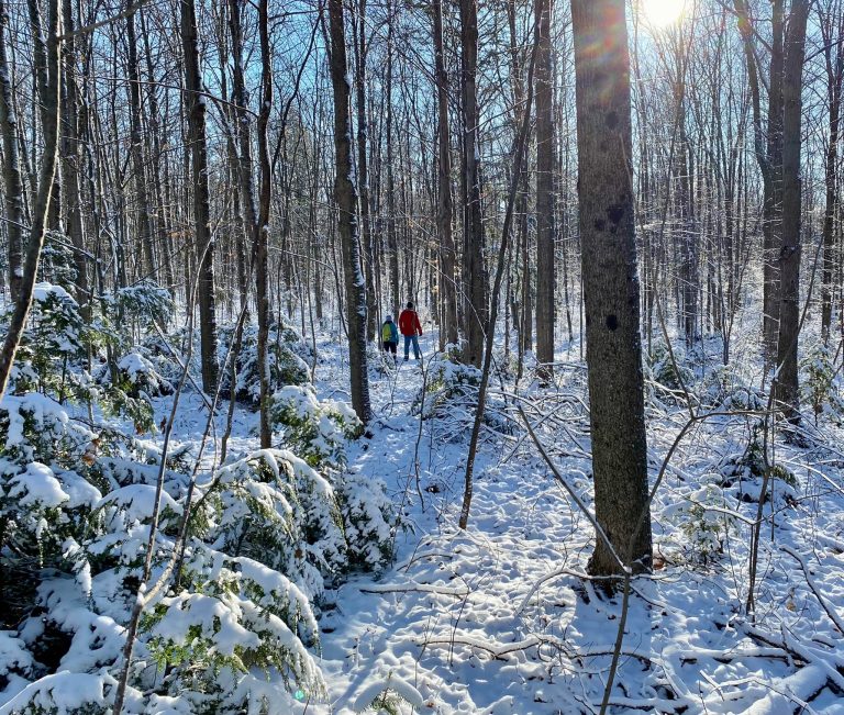 Make a Wish – Cornwall Outdoor Club – January 2022