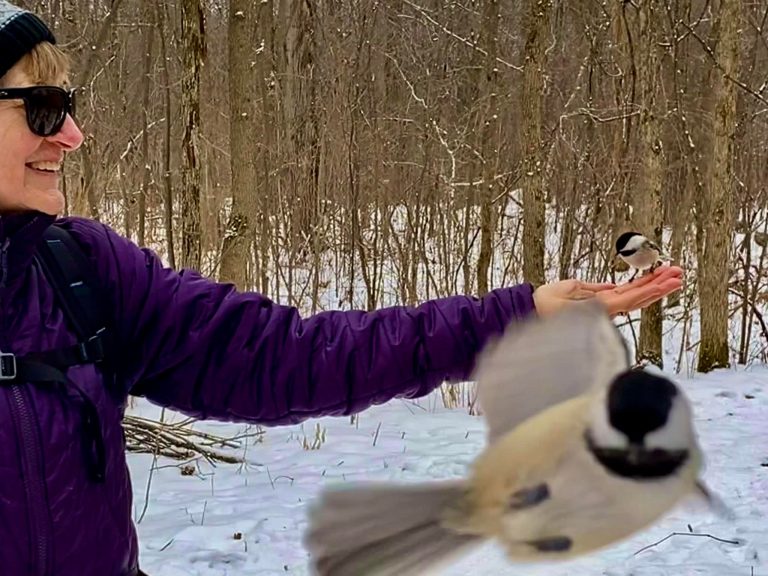 Cornwall Outdoor Club – The Cuteness Factor