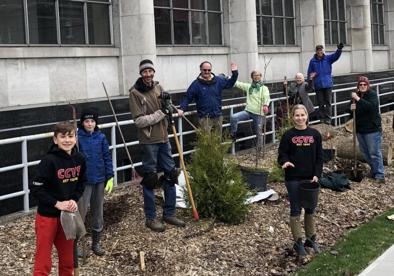 The Latest News From Transition Cornwall+ – Small but mighty forest downtown.