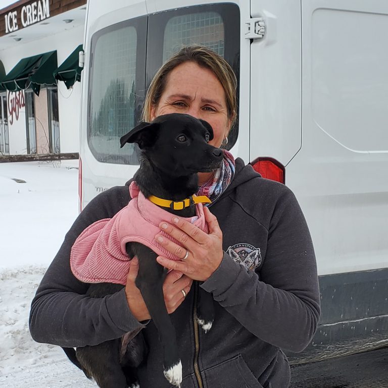 26 U.S. dogs arrive at Ontario SPCA animal centres in the first re-homing mission of 2022