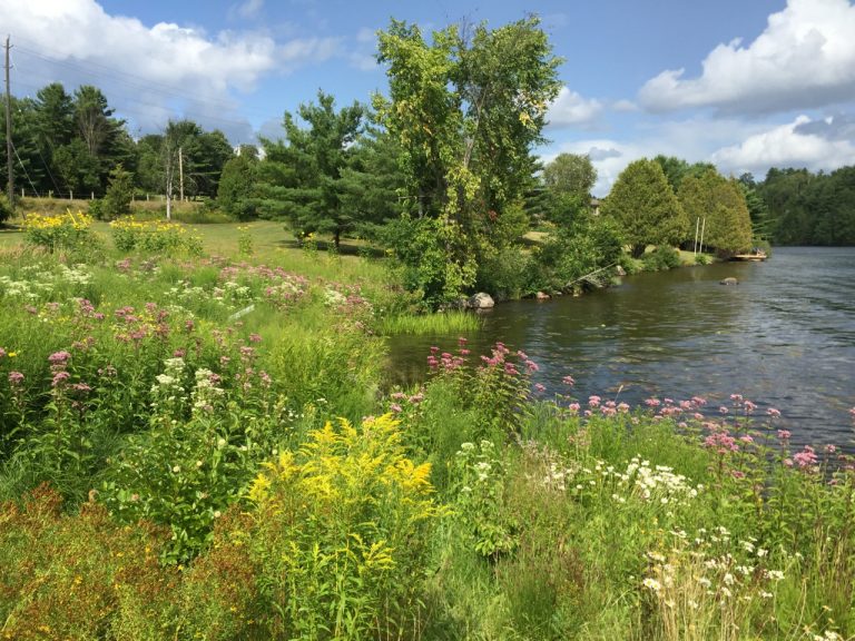 By 2024, 3km of shoreline in St. Lawrence River Area of Concern to be restored by Natural Edge Program, Mohawk Council of Akwesasne and local partners. 