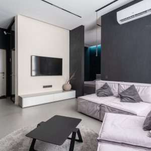 cozy living room with sofas and television set