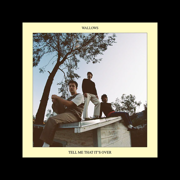 Take Note: Wallows’ Second Full-Length LP is Album of the Month