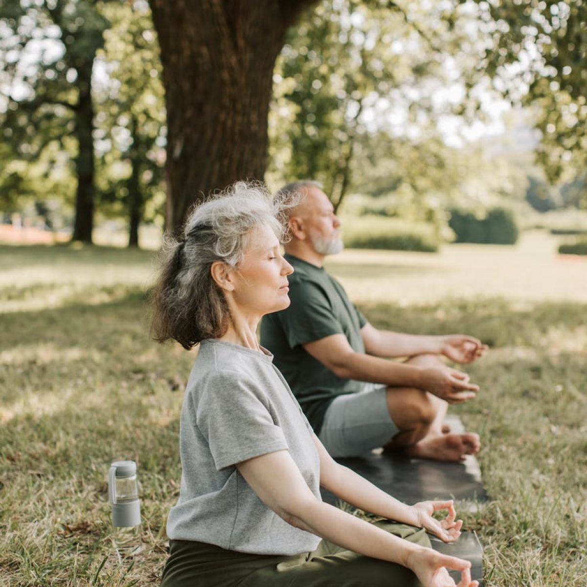elderly people meditating in the park