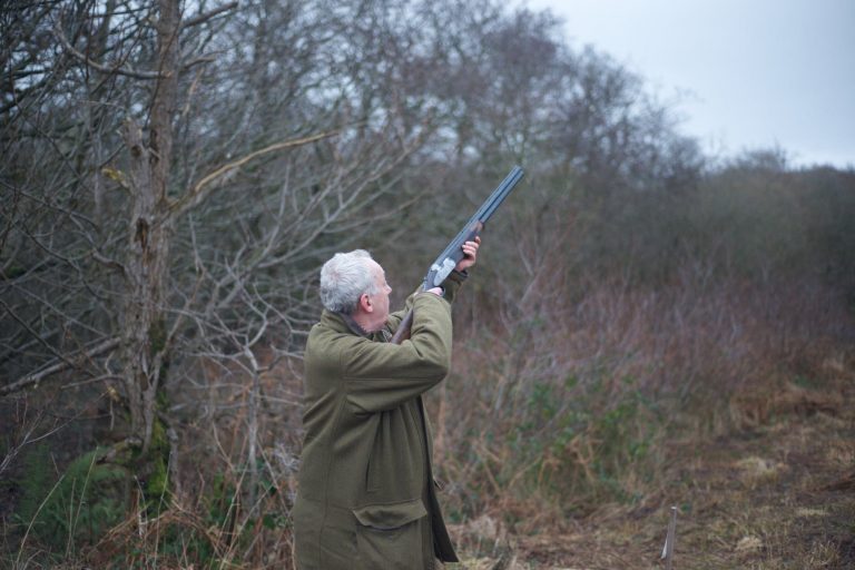 Useful Tips for Gun-Loving Enthusiasts: How to Choose the Perfect Rifle