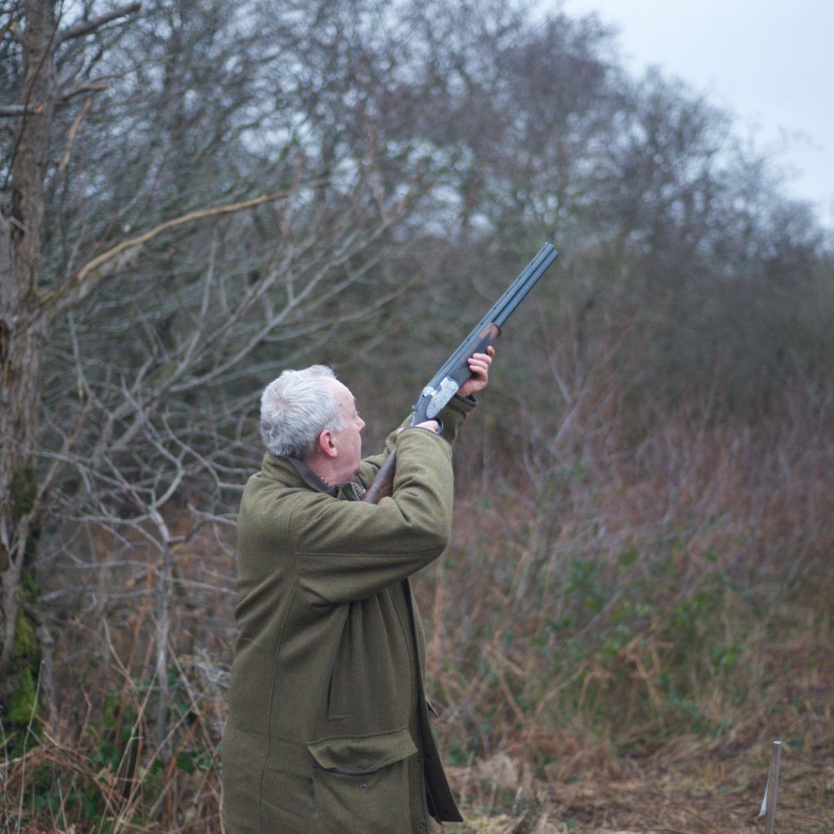 cold snow wood landscape