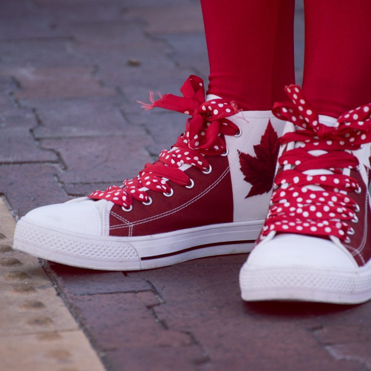 closeup photo of person wearing white and red maple leaf printed lace up sneakers