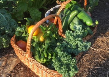 Municipal Election 2022 – Making Communities Stronger