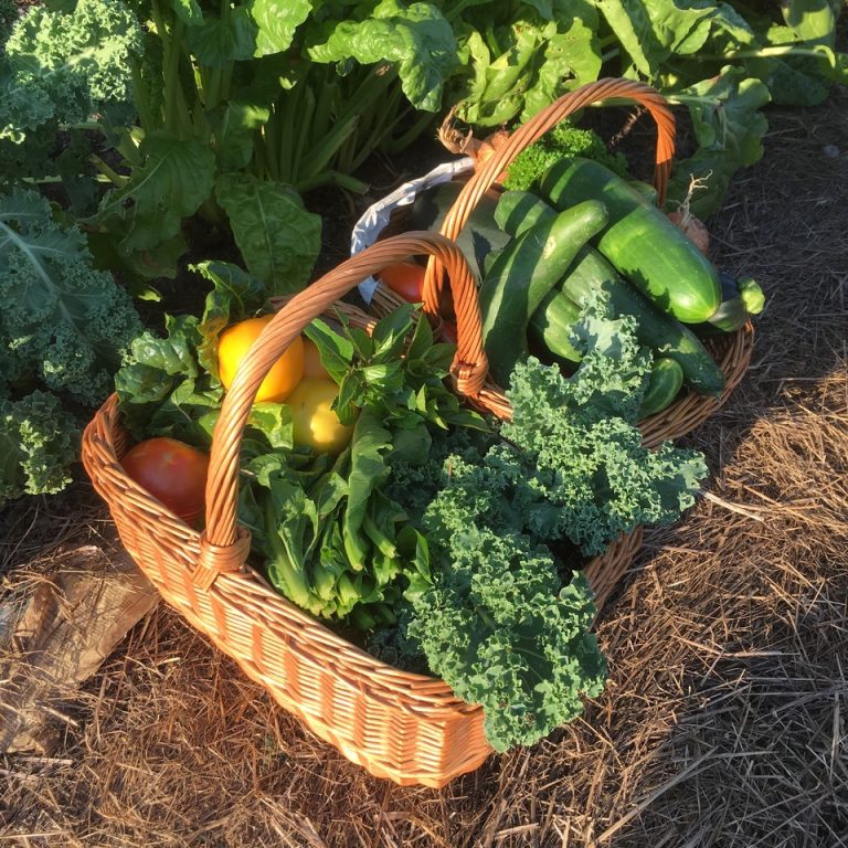 Municipal Election 2022 – Making Communities Stronger