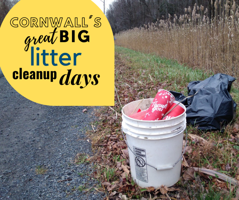 It’s almost time for the City’s 2nd Annual Great Big Litter Cleanup!