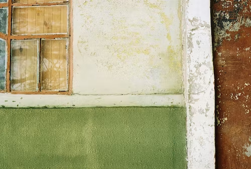 Mold In The Home: How Dangerous Is It?