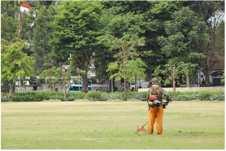 5 Things to Check Before Hiring a Lawn Mower Company in Canada