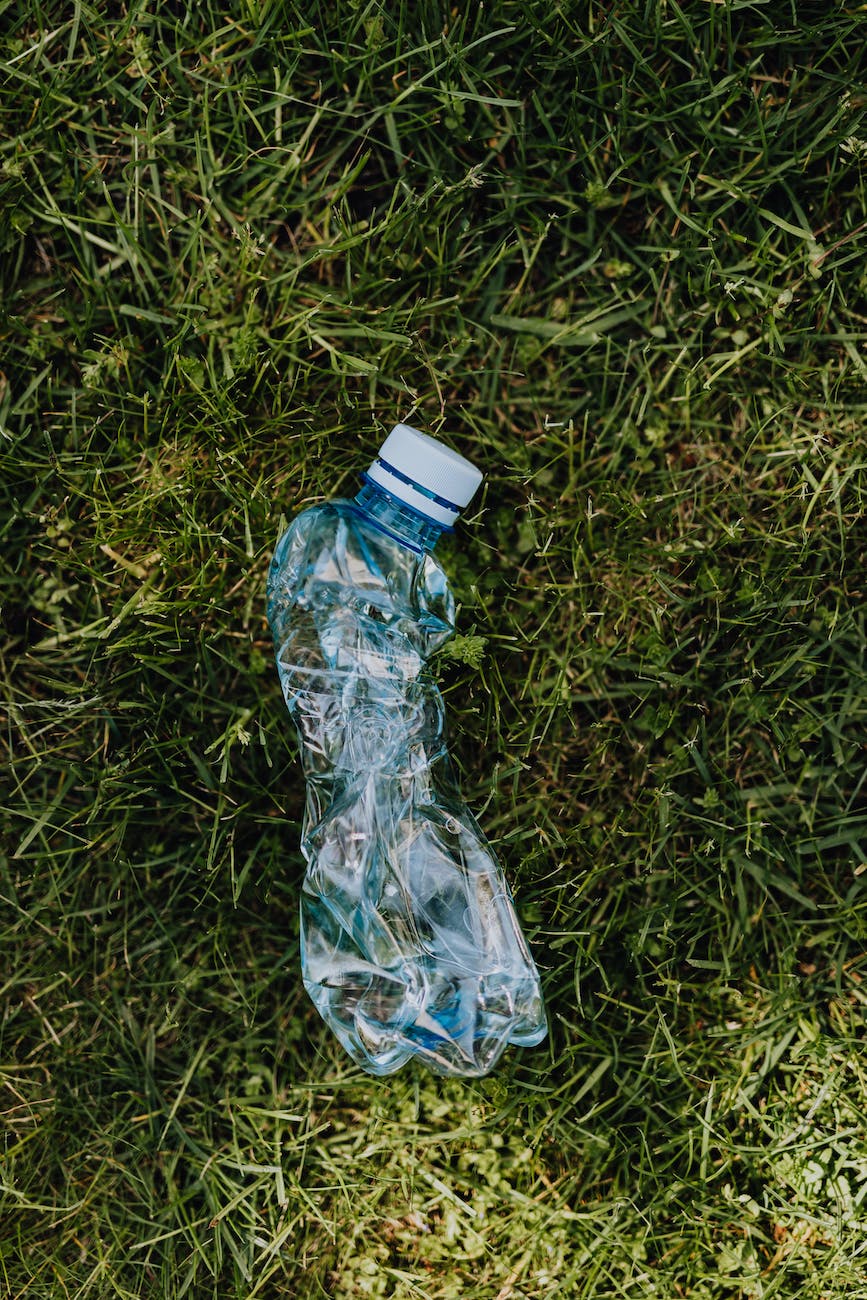 crumpled plastic bottle on green lawn
