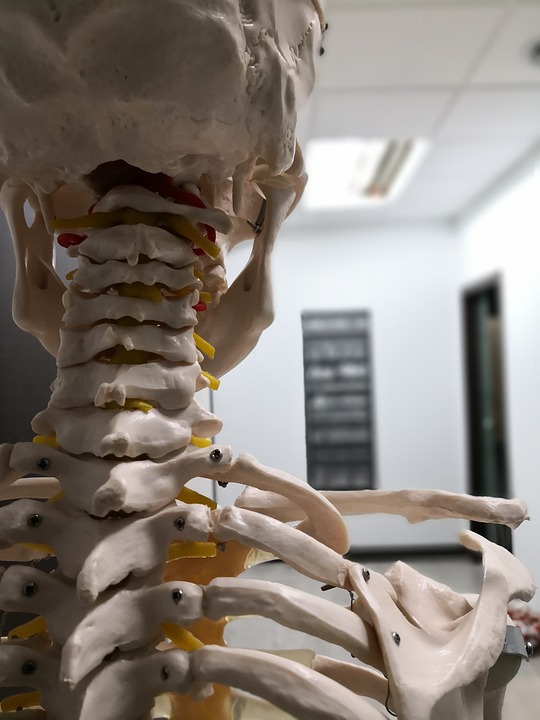 A Quick Guide To Understanding The Benefits Of Osteopathy