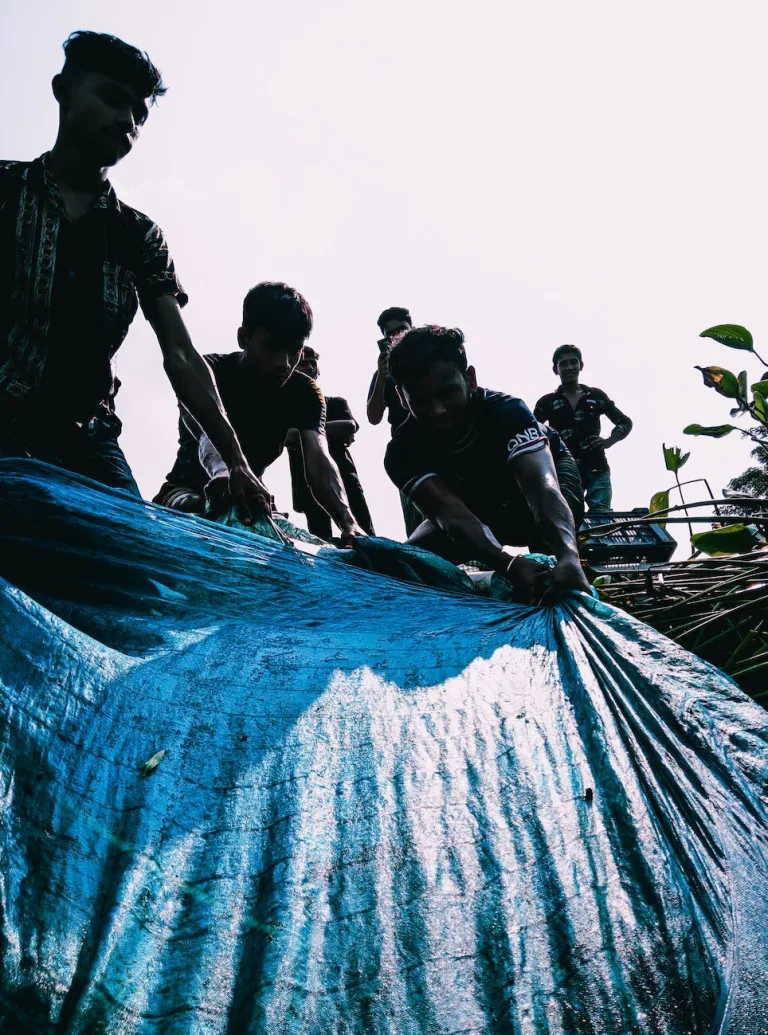 Why tarps are essential for any camper or hiker