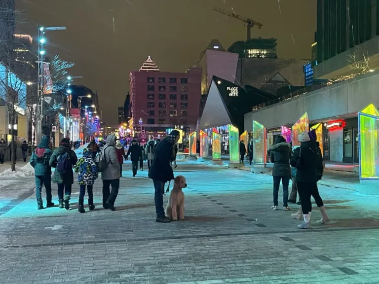 Fall in love with Montreal