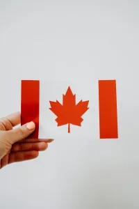 a person holding a canadian paper flag