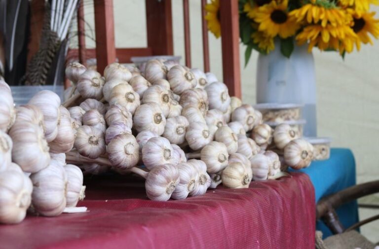 Eastern Ontario Garlic Festival is Saturday September 16th