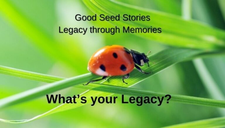 Brown Eyed Girl – Wondrous Life