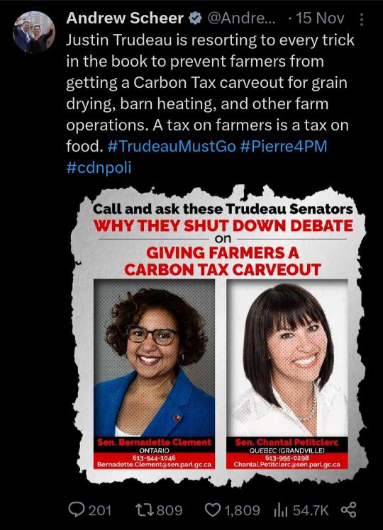 Scheer wanted poster  for Bernadette Clement
