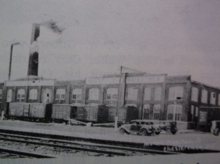 REMARKABLE CORNWALL & SDG – FARMING