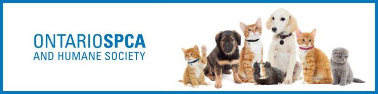 Looking for a furry friend? The Ontario SPCA is hosting an adoption event – From Friday, May 31 to Saturday, June 1