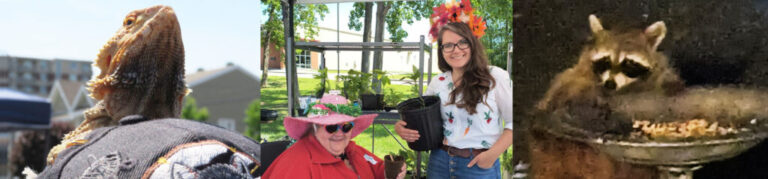 OUT and ABOUT with Seeker Chick Mai-Liis: Checking out the Unleash Pet Fest, Transition Cornwall+ Free Plant Giveaway and guess who visited my garden uninvited?